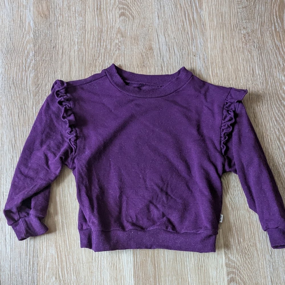 Purple Ruffle Long Sleeve Top